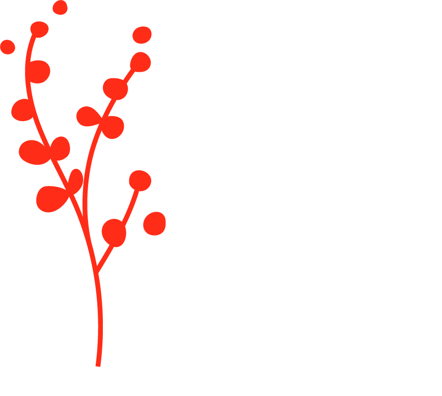 Fynbos Designs